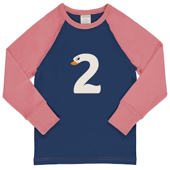 Raglanshirt langarm 2 Jahre