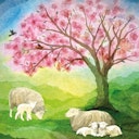 Vorschaubild Vogel Geluk - kleine Lämmer nur die FOLIE