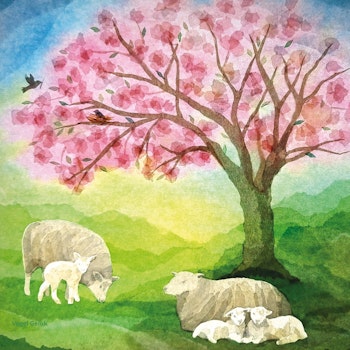 Vogel Geluk - kleine Lämmer nur die FOLIE