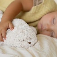 Bio Einschlafhilfe mit Sound und Licht Robbe polar