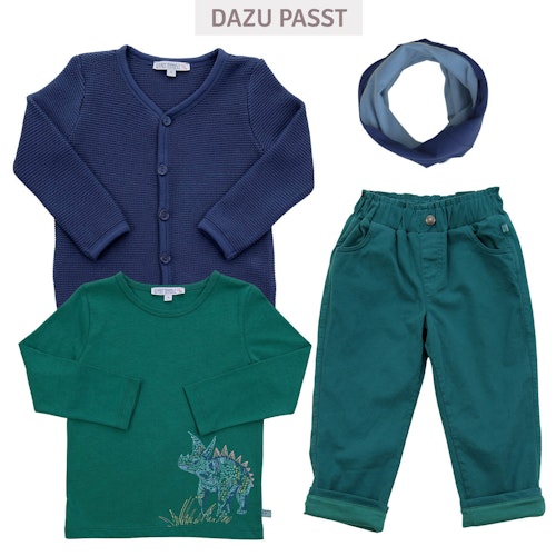 Langarmshirt Dinosaurier-Stickerei