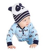 PANDA Varianten Bild
