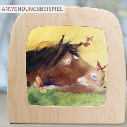 4 StoryLux Silhouetten: Hrókur und die Himmelsreiter