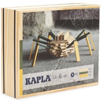 Steine Set Spinne in Holzkiste ab 7 J.