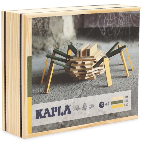 Steine Set Spinne in Holzkiste ab 7 J.