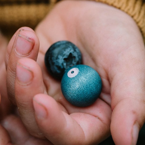 Fruits Set mit 12 Teilen