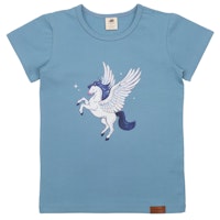 PEGASUS Varianten Bild