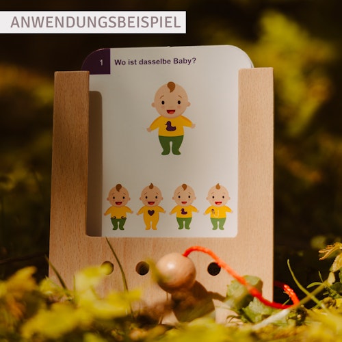 Erste Übungen - Tiere erkennen Kartensatz