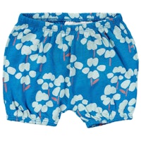 BLUEFLOWER Varianten Bild