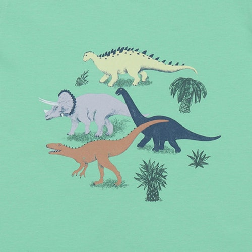 Shirt kurzarm Dinosaurier