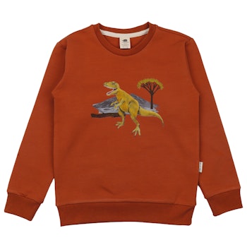 Sweatshirt Dinosaurier braun