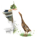 Vorschaubild Giesbert in der Regentonne Vorlesebuch ab 4 Jahren