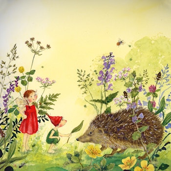 Toverlux Folie Daniela Drescher - Igel