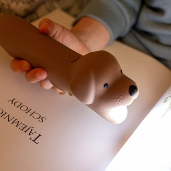 LED Taschenlampe mit Akku Hund