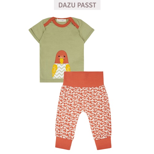 Babyshirt kurzarm Wüsten-Motive