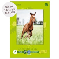 Staufen Green Zeichenblock Edition Dürer – DIN A4, 18 Blatt