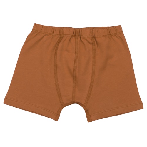 Baumwoll Boxer im Doppelpack braun Dinos