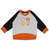 BEAR Varianten Bild