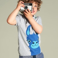 LAMA Varianten Bild