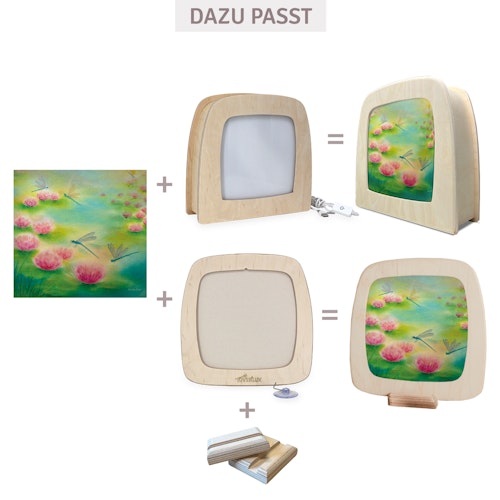 Folie Baukje Exler - Drachenflug