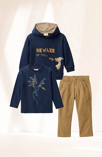 Sweat Hoodie Stegosaurus