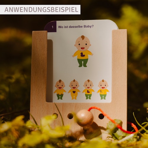 Erste Übungen - Früchte erkennen Kartensatz