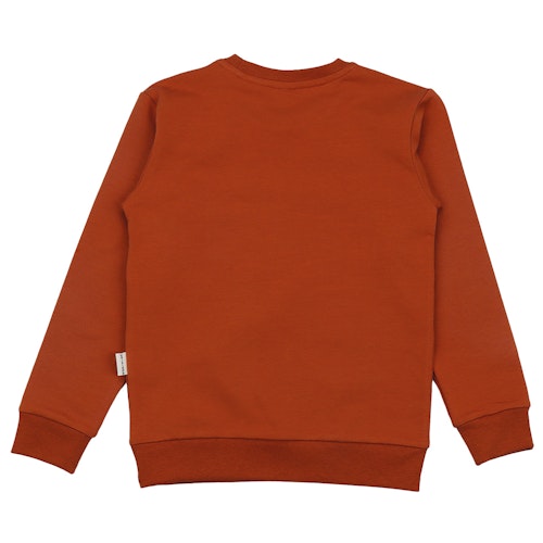 Sweatshirt Dinosaurier braun