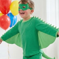 DRACHE Varianten Bild