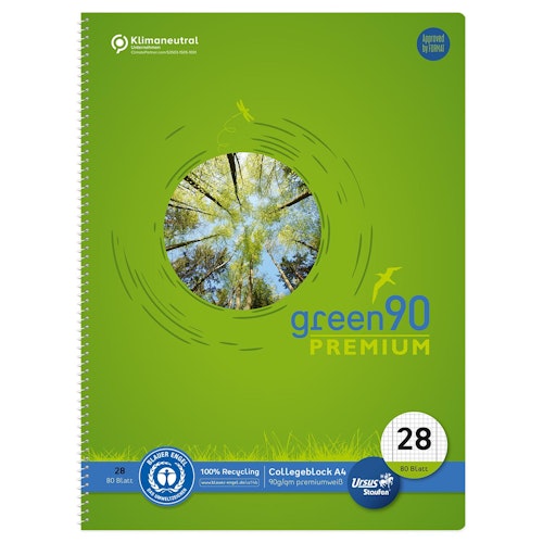 Collegeblock kariert mit Rand – Lineatur 28, DIN A4