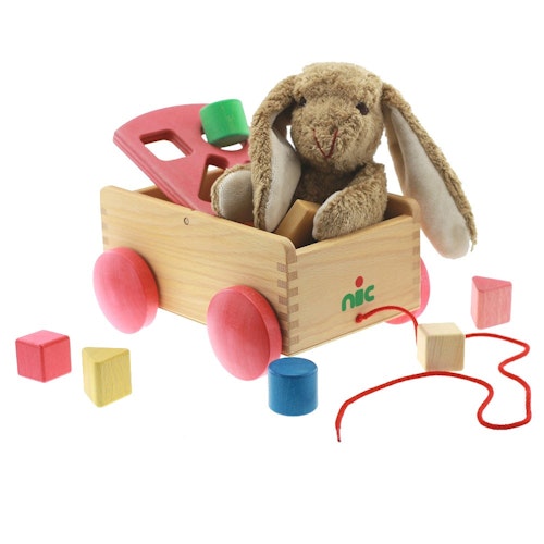 Formenwagen - Steckspiel auf Rädern - Bio - eine Natur