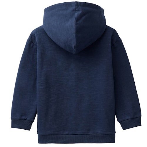 Sweat Hoodie Stegosaurus