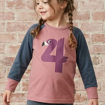 Raglanshirt langarm 4 Jahre Flamingo