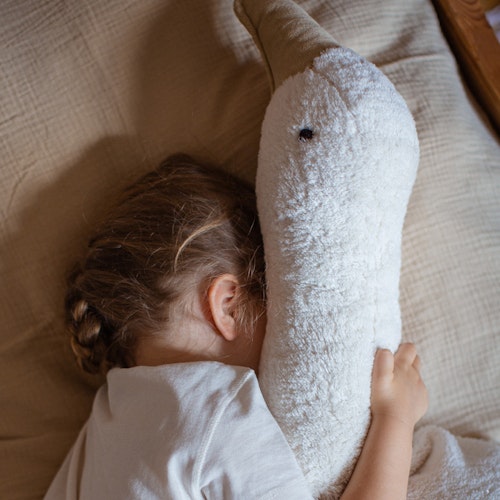 XL Kuscheltier & Wärmekissen Gans Dinkelspelz weiß 90 cm