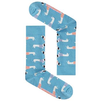 Socken Dackel hellblau