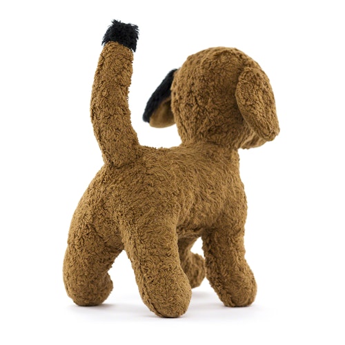 Hund, ein liebenswerter Vierbeiner