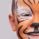 Vorschaubild Bio Kinderschminke Löwe, Tiger & Co. 6 Farben