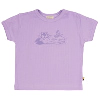 LILAC Varianten Bild