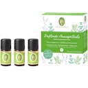 Vorschaubild Duftende Hausapotheke ätherische Öle Set Bio – 3 x 5 ml