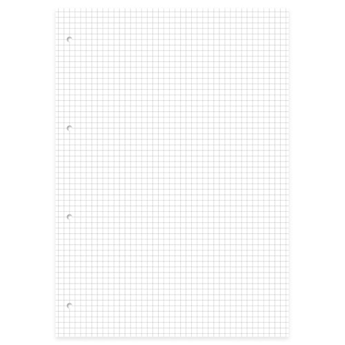 Schulblock kariert ohne Rand – Lineatur 22, DIN A4