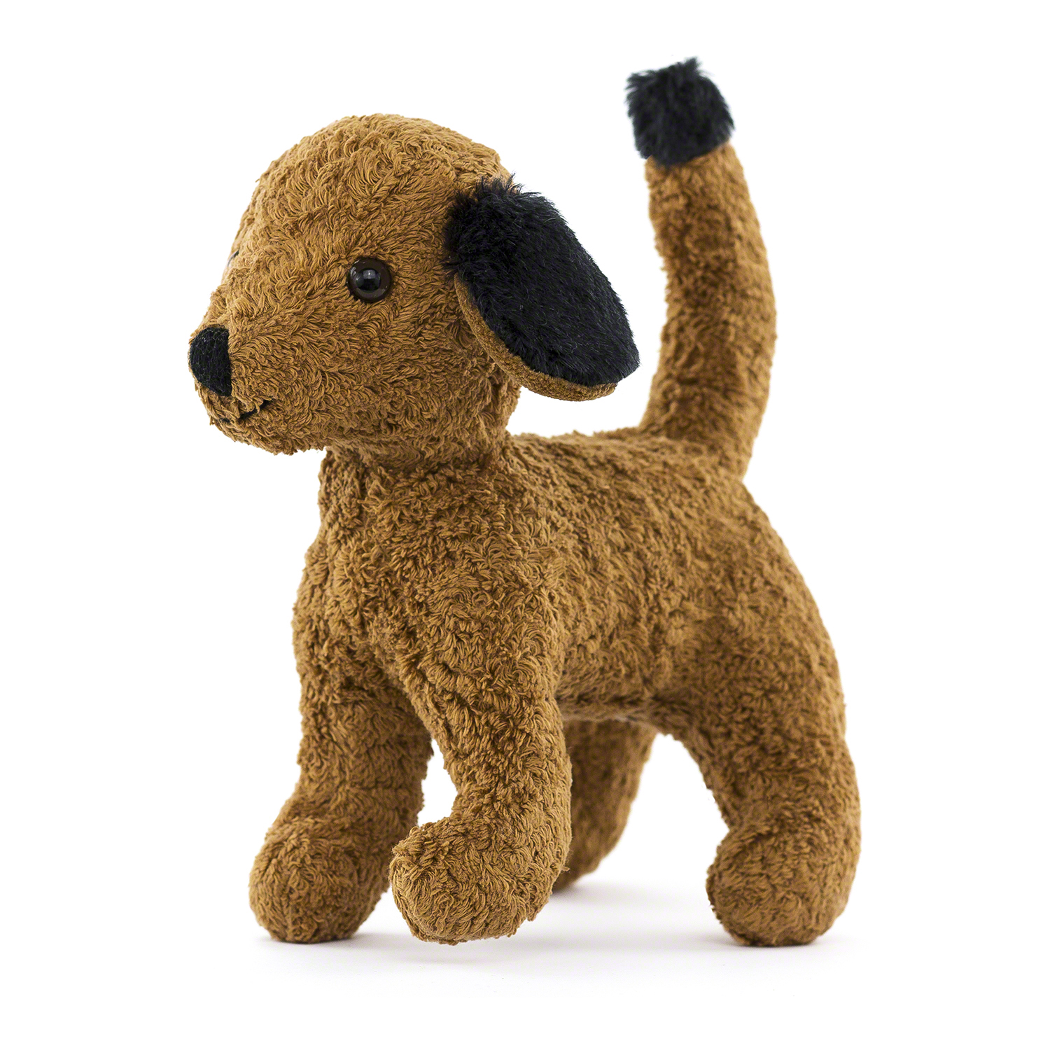 Hund, ein liebenswerter Vierbeiner