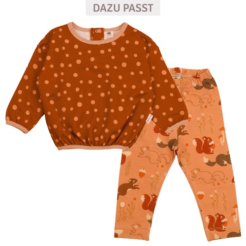 Walkiddy Sweatshirt mit Igel