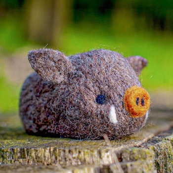 Selber filzen mit Anleitung DIY Filz Set Wildschwein Level 3 ab 4 Jahre