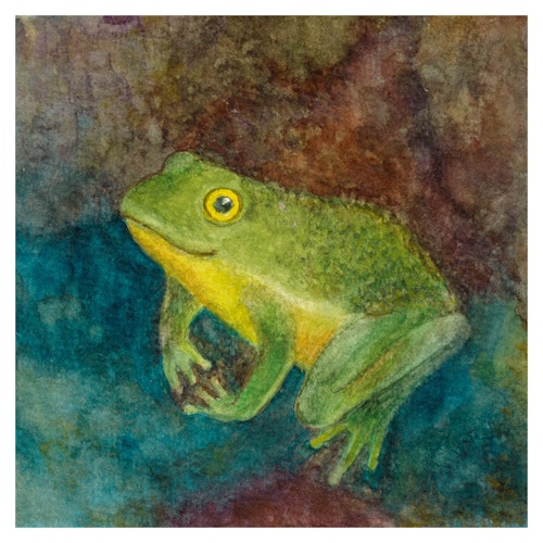 Im Wald Leporello-Buch ab 6 Monaten