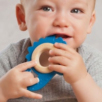 Bio-Beißtier Dinosaurier