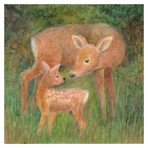 Im Wald Leporello-Buch ab 6 Monaten