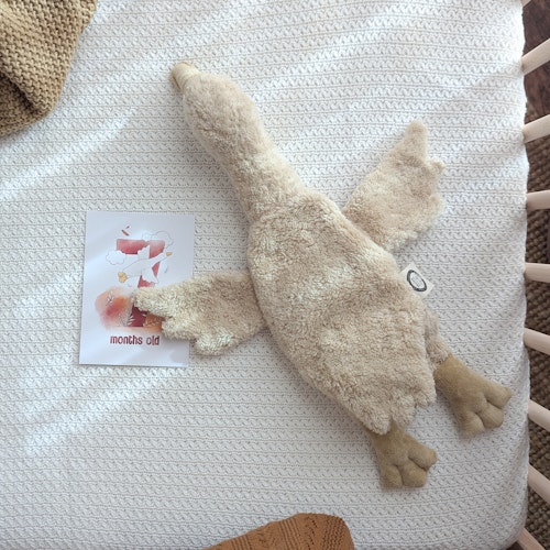 Gans klein Traubenkern Kuscheltier Wärmekissen leinen