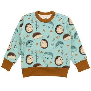 Walkiddy Sweatshirt mit Igel hellblau