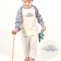 GREYDINO Varianten Bild