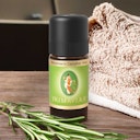 Vorschaubild Rosmarin Campher bio 5ml – 100% ätherisches Öl