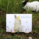 Vorschaubild Nachhaltige Geburtstagskarte niedlicher Hase